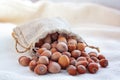 Hazelnuts in a bag made Ã¢â¬â¹Ã¢â¬â¹of canvas